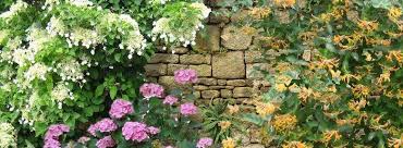 Comment habiller un mur en parpaing exterieur. Comment Fleurir Un Mur Au Nord