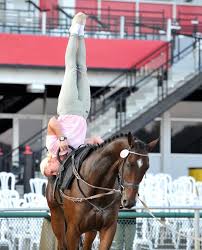 Photos Video The Chronicle Of The Horse Trick Riding Vaulting Equestrian Horse Vaulting