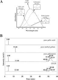 Therapeutic Role Of Natural Products Containing Tannin For