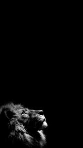Dark Black Wallpaper 4k For Android Gallery Lion Wallpaper Iphone Lion Wallpaper Black Wallpaper Iphone