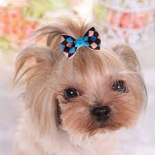 Yoy 40pcs 20 Pairs Adorable Grosgrain Ribbon Pet Dog Hair Bows With Rubber Bands Puppy Topknot Cat Kitty Doggy Groom Dog Hair Bows Cute Dog Wallpaper Dog Hair