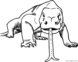 The komodo dragon is a giant lizard that lives on the indonesian island of komodo, with a ferocious nature and an amazing diet that can eat up to 80% of its body weight in one meal, and at an amazing rate that takes less than 30 minutes. Komodo Dragon Coloring Pages Coloringall
