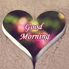Good Morning Hd Wallpaper Images Whatsapp Wallpaper Pictures Background Latest New Top Dp Good Morning Wallpaper Good Morning Romantic Love Wallpaper