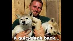 Check spelling or type a new query. Animal Adventure Park Youtube