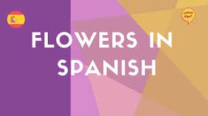 Maybe you would like to learn more about one of these? Flowers In Spanish Youtube