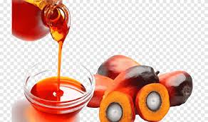 It has high stability to oxidation and is nutritionally healthy with a balanced composition. Palm Oil Palm Kernel Oil Cooking Oils African Oil Palm Oil Nutrition Oil Png Pngegg