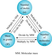 Molecular Mass And Mole Concept Videos Introduction Questions