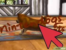Mar 07, 2017 · this page contains a list of cheats, codes, easter eggs, tips, and other secrets for nintendogs + cats: How To Delete Your Nintendogs Cats Completely 4 Steps