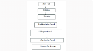 Figure Schematic Diagram Of Pickle Curing Of Herring