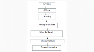 figure schematic diagram of pickle curing of herring