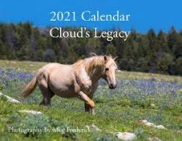 Pin On American Wild Horse And Burro Preservation