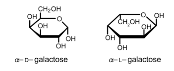 Is A Sucrose A 'Reducing Sugar' And If Not, Why Not? - Quora