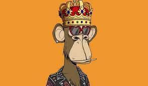 Orangutan Charity Receives 850 000 From Bored Ape Nft