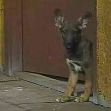 Vila do Chaves - É você Satanás!??? ?? | Facebook