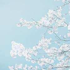 See more ideas about blue aesthetic, blue, light blue aesthetic. Versatile Elegant And Refreshing Light Blue Is An Easy Color To Work With Find More At Trendesignboo Baby Blue Aesthetic Blue Aesthetic Light Blue Aesthetic
