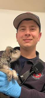 dogsdontknow Don't miss this!