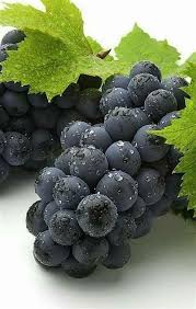 Temps De La Vierge Www Paolacartotarotastro Fr Photo Fruit Fruits Exotiques Arbre Fruitier