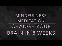 Mindfulness Meditation Change Your Brain In 8 Weeks Youtube Mindfulness Meditation Quick Meditation Daily Meditation