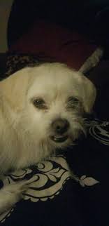 Fostering or adopting a 2-year-old baby in Crowley