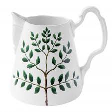 Image result for Indigofera colutea