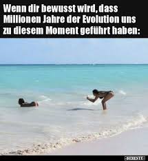 Wenn Dir Bewusst Wird Dass Millionen Jahre Der Evolution Witze Lustig Lustige Bilder Lustig