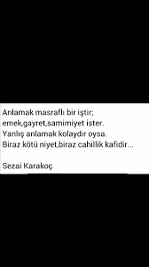 Anlamak Masrafli Bir Istir Emek Gayret Samimiyet Ister Yanlis Anlamak Kolaydir Oysa Biraz Kotu Niyet Biraz Cahillik Ozlu Sozler Kitap Alintilari Guzel Soz