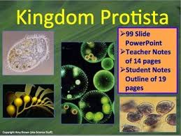 Protista Kingdom Algae And Protozoa Powerpoint And Notes Protists High School Biology High School Biology Class