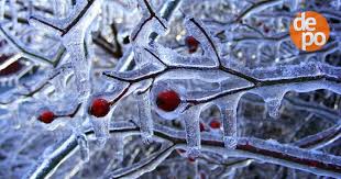 Прогноз осадков штормовые предупреждения киев , украина sinoptik.ua Pogoda V Odesse Morozy I Gololed Zhdet Region V Blizhajshie Dni Novosti Odessy