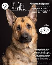 Binghamton, ny (bgm) boone, nc (bnc) buffalo, ny (buf) central nj (cnj) charleston, wv (crw). Broome County Dog Shelter S Hockey Night With The Binghamton Devils Broome County
