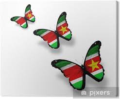 Maybe you would like to learn more about one of these? Leinwandbild Drei Suriname Flagge Schmetterlinge Isoliert Auf Weiss Pixers Wir Leben Um Zu Verandern