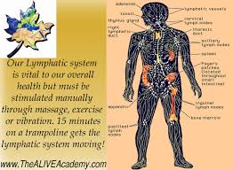 Pin On Health And Wellness