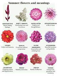 According to the greek myth of apollo and clytie, it also represents. The Meaning Of Flowers By Urban Botanicals Flower Meanings Summer Flowers Pretty Flowers