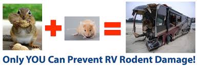 After your camping trip, don't keep food in your camper while in storage. How To Keep Mice And Squirrels Out Of Your Rv These Four Easy Ways