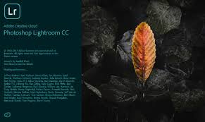 What difference will it make? Adobe Lightroom Classic Vs Lightroom Cc Updated 2020