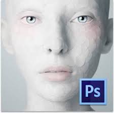 How To Purchase Adobe Photoshop Cs6 No Creative Cloud Subscription Patchesoft