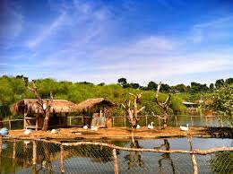 Floating Market Lembang Wisata Kuliner Dengan Konsep Alami Terdapat Danau Dan Tempat Bermain Bandung Tours World
