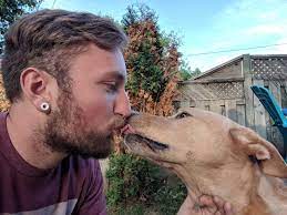 Should You Let Your Dog Lick Your Face