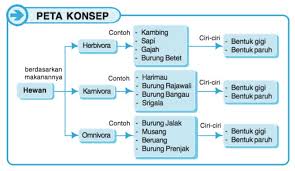 Memiliki gigi geraham yang lebar. Mengenal Hewan Herbivora Karnivora Dan Omnivora Belajar Mandiri Yuk