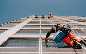 Don't see your favorite business? High Rise Window Cleaning In Los Angeles Washing Raccoons