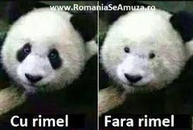 Pozele de cuplu ar trebui sa reprezinte dovada iubirii dintre parteneri. Glume Poze Wattpad