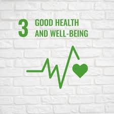 Sustainable Development Goals In 2020 Sustainable Development Goals Millennium Development Goals Sustainable Development