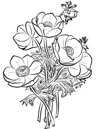 ⬇ télécharger des photos de coquelicot bouquet de la banque d'images libres de droits grand choix des photographies de haute qualité prix abordables 1001 Idees De Dessin Bouquet De Fleurs A Faire Soi Meme En 2021 Dessin Bouquet De Fleurs Dessins Faciles Dessin De Fleur Simple