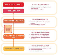 Rheumatic Heart Disease Rhd In Australia