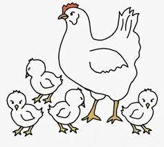 Image Result For Baby Hen Drawing Chicken Drawing Painting Templates Hens And Chicks