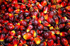 The fob indonesia cpo assessment reflects maximum free fatty acids (as palmitic) content of 5% and maximum moisture and impurities (m&i) content of 0.5% and parcels. Crude Palm Oil Prices Forecast To Be Higher This Year