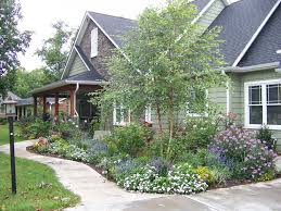 River Birch Trees For Sale House Landscape Landscape Design River Birch Trees