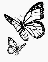 Butterflies Butterfly Coloring Page Monarch Butterfly Tattoo Butterfly Tattoo Stencil