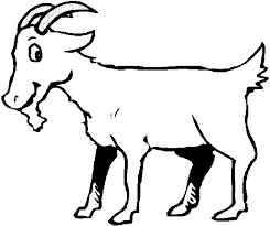 Black And White Goat Images Clip Art Line Drawing Of A Goat Clipart Best Goats Drawings Coloring Sheets