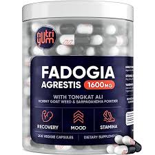 Image result for Fadogia