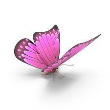 Thousands of new butterfly png image resources are added every day. Pink Butterfly Png Images Psds For Download Pixelsquid S112011771